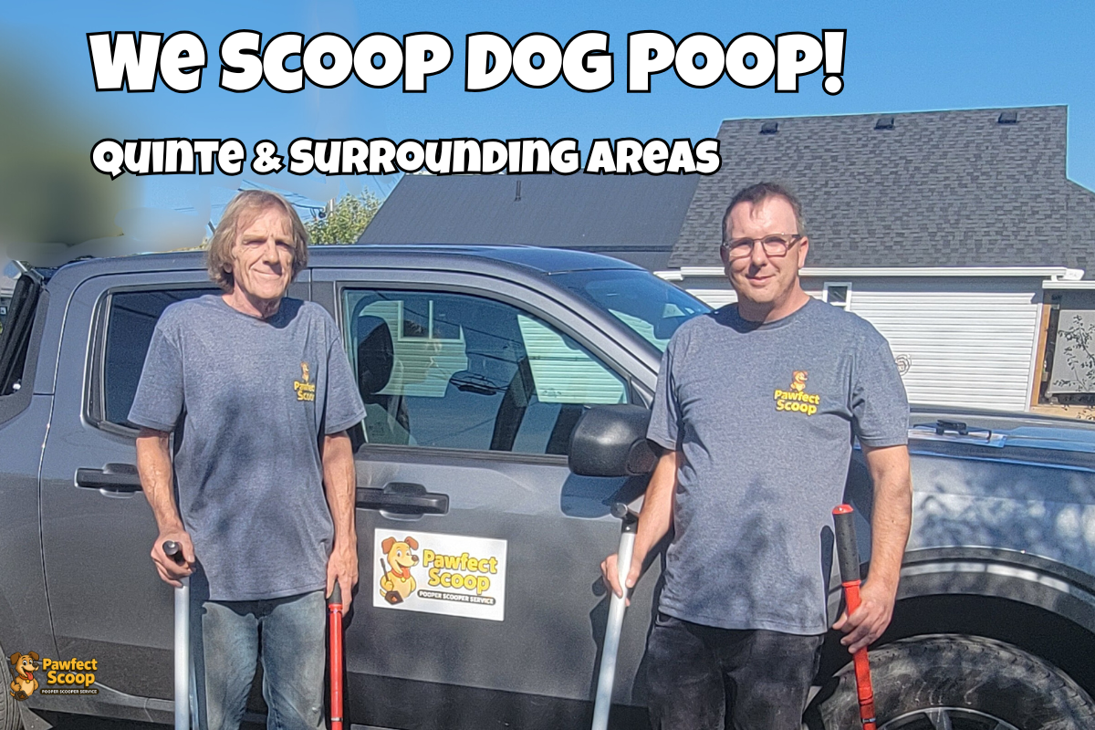 Pawfect Scoop main banner Belleville pooper scooper service professional branding