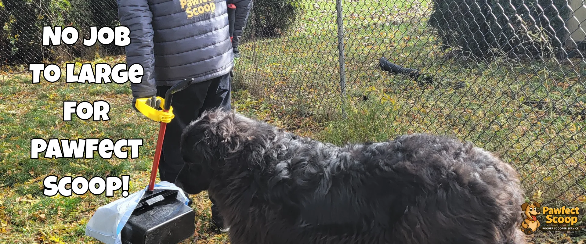 No Job To Large For Pawfect Scoop!