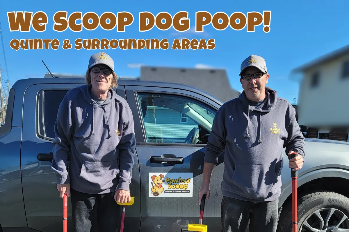Pawfect Scoop main banner Belleville pooper scooper service professional branding